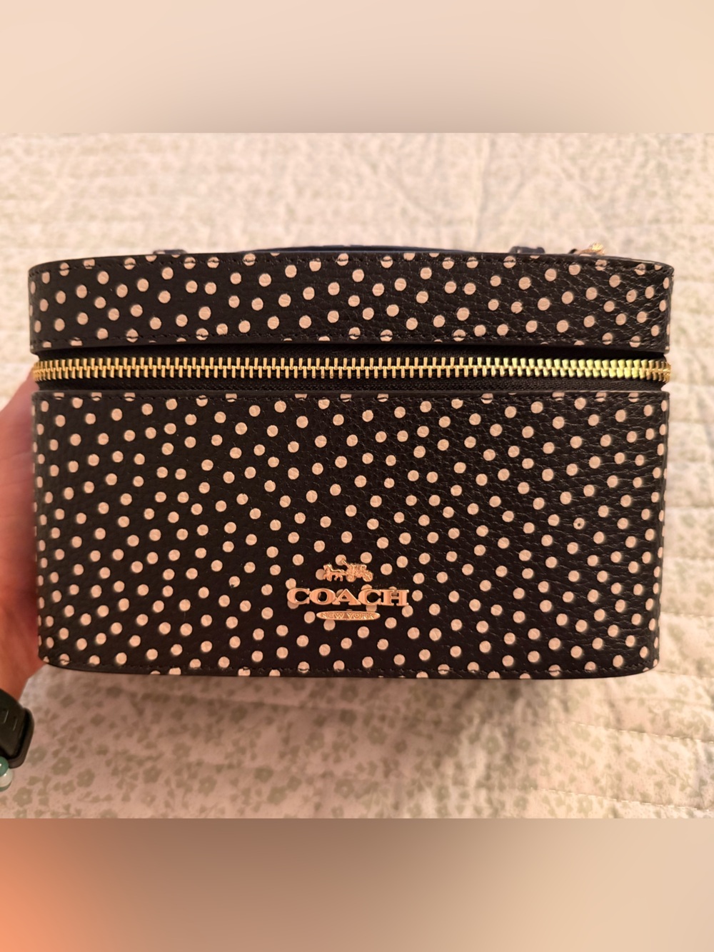 COACH Cosmetic Case with Spot Print (Polka Dot)